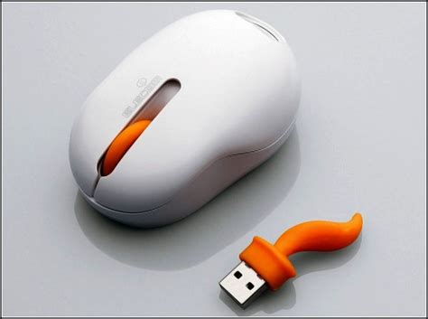 Science News: Computer mouse... With a tail. An amusing animal from ...