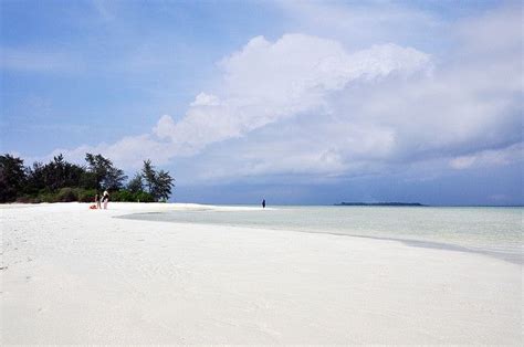 Karimunjawa beach | Beautiful beaches, Beach, Beautiful landscapes