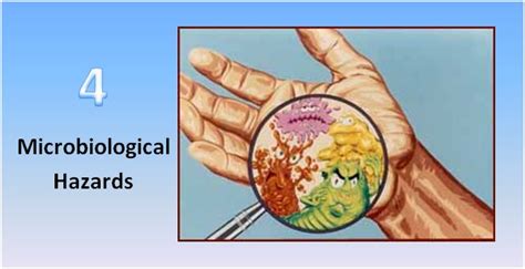 CUL2115 - Food Nutrition: Chapter 2 : Microbiological Hazards