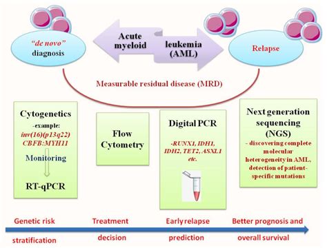 JCM | Free Full-Text | Revealing the Mysteries of Acute Myeloid ...