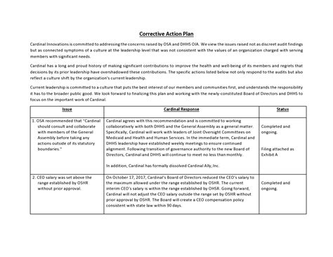 Corrective Action Plan Template