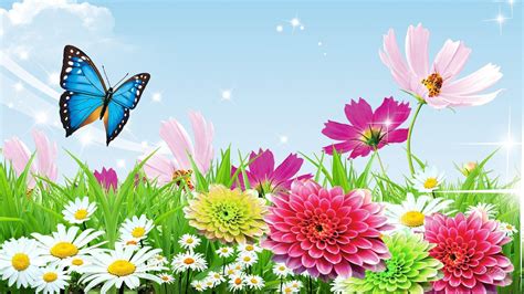 Butterfly Garden Wallpapers - Top Free Butterfly Garden Backgrounds ...