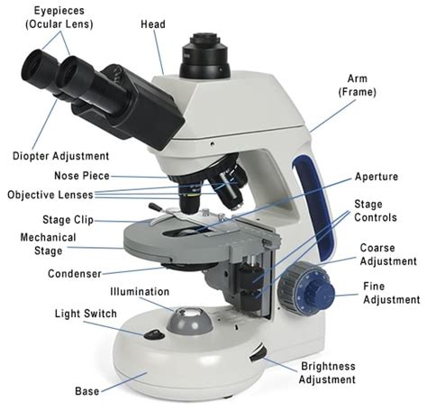 Parts of a microscope and function - parsjolo