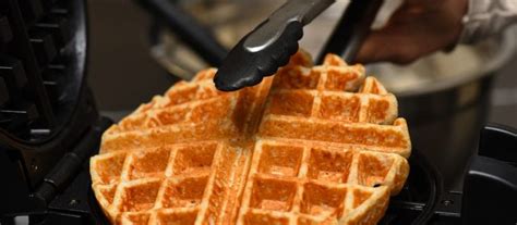 Applesauce Waffles | Golo recipes, Waffles, Recipes