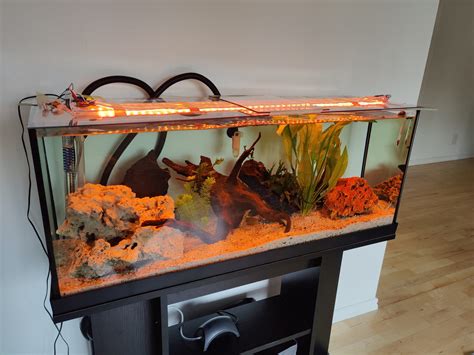 DIY Aquarium led light | Planet4