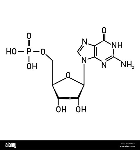 Chemical structure of DNA nucleotide. Three parts of a nucleotide ...