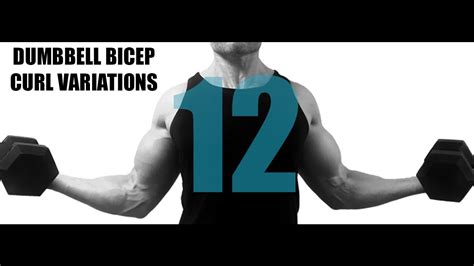 12 DUMBBELL BICEP CURL VARIATIONS AND WHAT PART OF THE BICEPS THEY ...