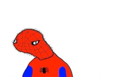 15 Top Spoderman Meme Images Pictures and Jokes | QuotesBae