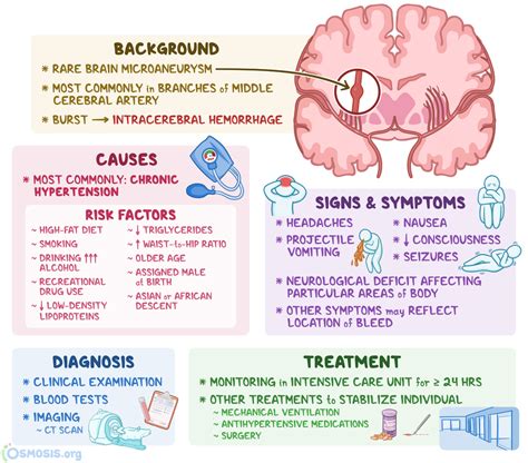 Charcot-Bouchard Aneurysm: What Is It, Causes, and More | Osmosis