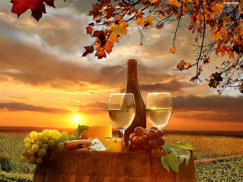 barrel, oak, autumn, field, sun, Wine, Grape, west - For desktop ...