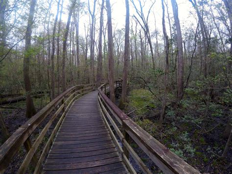 Congaree National Park