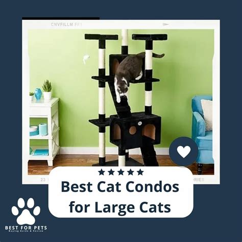 15 Best Cat Condos For Large Cats - BestForPets.org