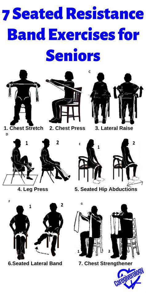 7 Seated Resistance Band Exercises for Seniors Infographic Fitness ...