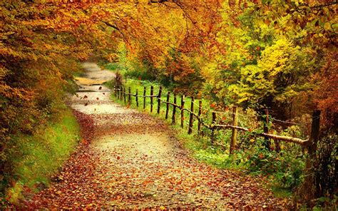 Autumn Trail Wallpapers - Top Free Autumn Trail Backgrounds ...