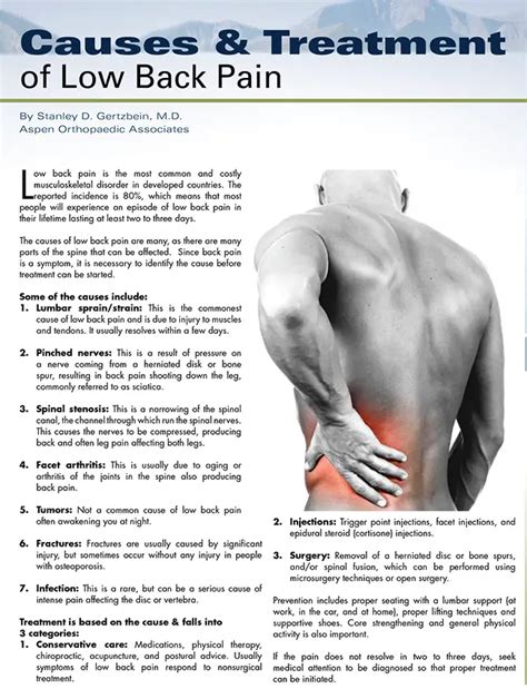 Lower Back Pain Causes - Chronic Lower Back Pain - Chronic Lower Back ...