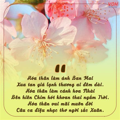 17 bài thơ về mùa Xuân rộn ràng khiến bạn hân hoan