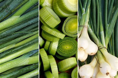 Do You Know the Differences Between Green Onions, Scallions, Spring ...