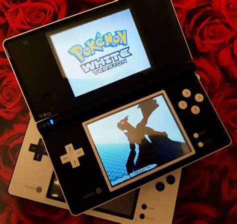 A pair of custom black and white Nintendo DSi - which do you prefer ...