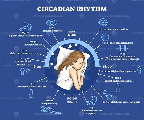 Circadian rhythm as educational natural cycle for healthy sleep and ...