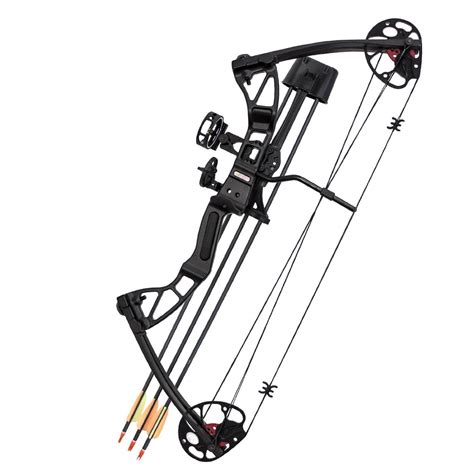 2016 Top 12 Best Compound Bow Reviews – All Outdoors