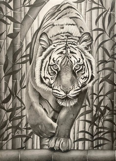 The Path Art Print, Tiger Illustration, Bamboo Jungle Art, Spiritual ...