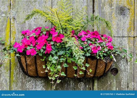 Flowers busket stock image. Image of decoration, store - 27205765