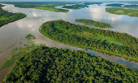 What Is Special About The Congo River Including Its Map and Animals