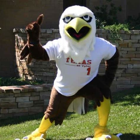 Swoop | Mascot Hall of Fame