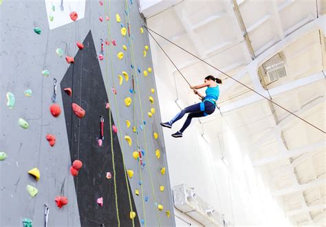 Top Rope Climbing: What Is It? (2023 Guide)