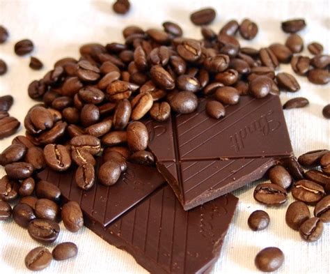 10 Best Chocolate-Covered Coffee Beans 2021 - Reviews & Top Picks ...