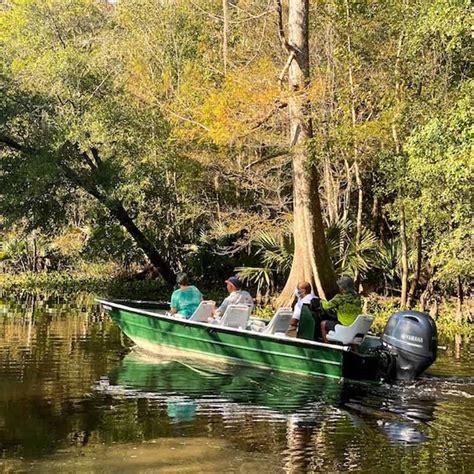 Small Boat Tour of Maurepas Swamp - TripShock!