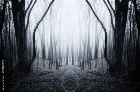 Scary Woods Wallpaper