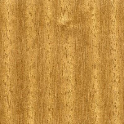 Iroko | The Wood Database - Lumber Identification (Hardwood)