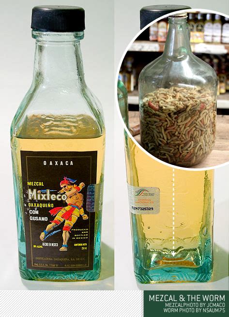 Brands Of Tequila With Worm | Bruin Blog