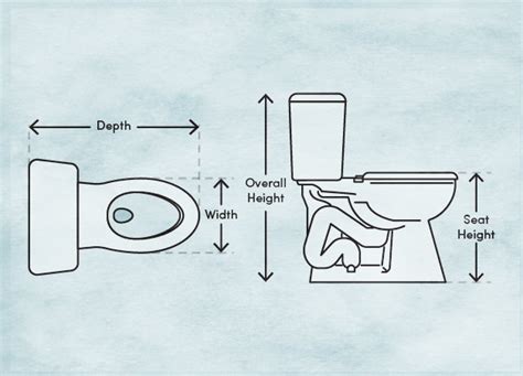 Toilet Dimensions & Measurements to Know - Wayfair Canada