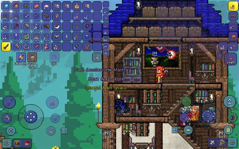 I just got my first Ankh Shield after all that farming : Terraria