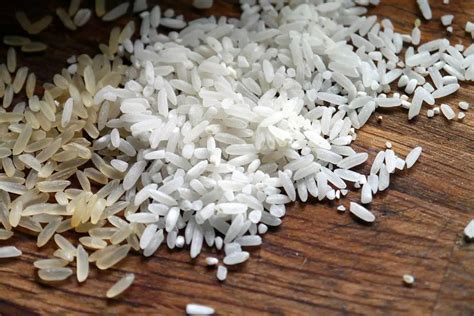 How to Grow Rice? Step-by-Step Guide | Environment Buddy