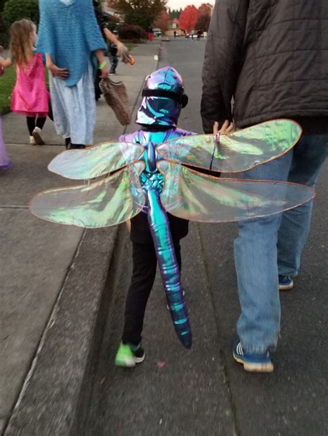 How to Make Costume Dragonfly Wings