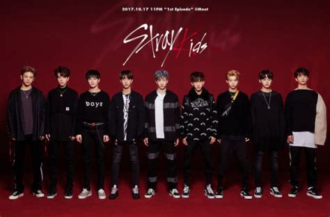 JYP's 'Stray Kids' unveil the 9 members