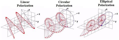 Polarization types of the electromagnetic wave. | Download Scientific ...