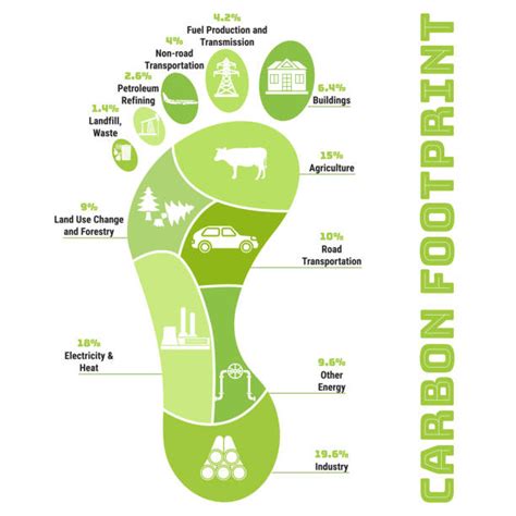 Carbon Footprint Infographic Illustrations, Royalty-Free Vector ...