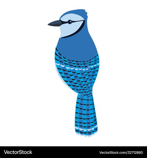 Blue jay bird bird Royalty Free Vector Image - VectorStock