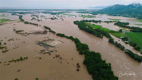 Cyclone brings floods, crocodile sightings in Australia's northeast ...