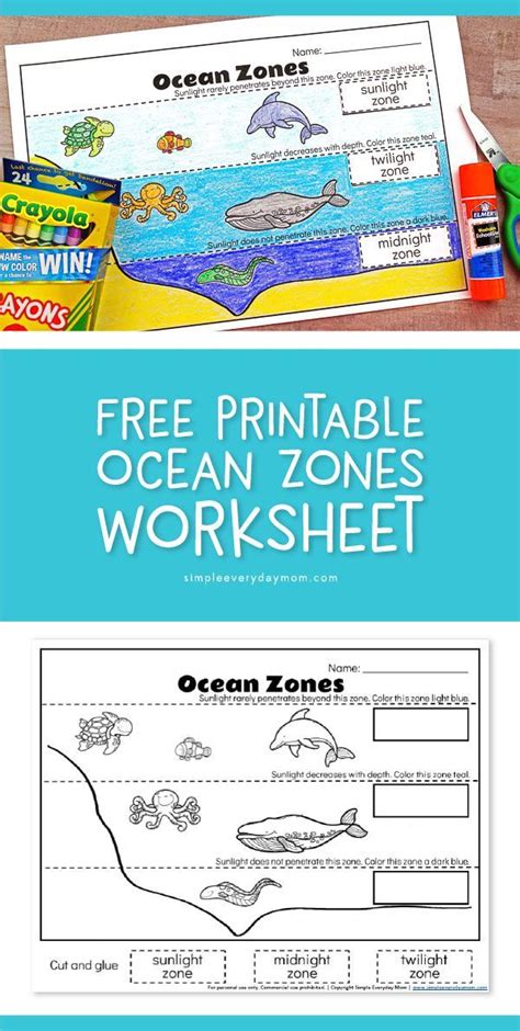 Free Printable Ocean Zones Worksheet | Teach young kids in preschool ...