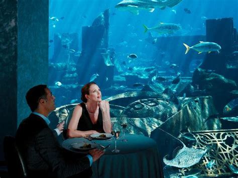 Ossiano - Picture of Atlantis, The Palm, Dubai - TripAdvisor