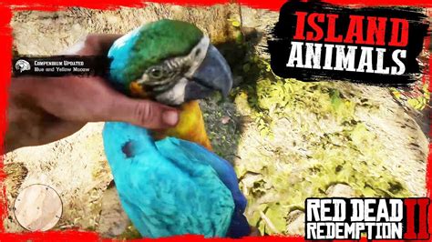 RDR2 Hunting and Skinning ISLAND Guarma Animals Gameplay🤠🤠🤠 - YouTube