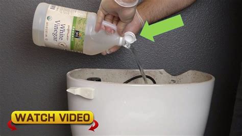 He Pours Vinegar in His Toilet Tank and Flushes. The Result is Genius ...