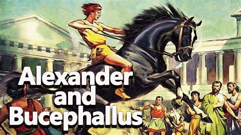 Alexander and Bucephallus: The Black Stallion - Alexander the Great Ep ...