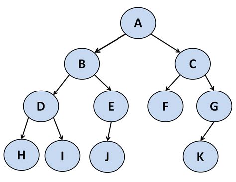 Everything you need to know about Tree Traversal Algorithms: Theory and ...