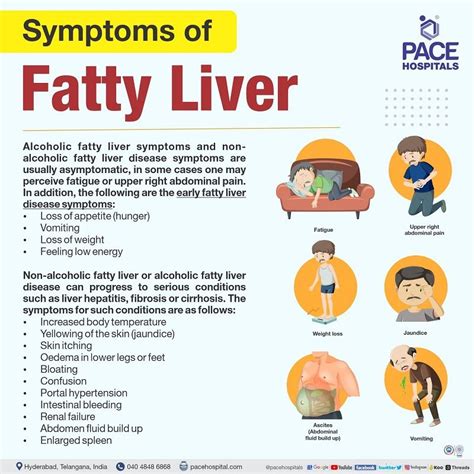 Fatty Liver Symptoms, Grade, Causes, Complications, Prevention